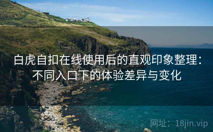 白虎自扣在线使用后的直观印象整理：不同入口下的体验差异与变化