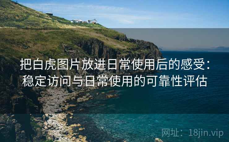 把白虎图片放进日常使用后的感受：稳定访问与日常使用的可靠性评估