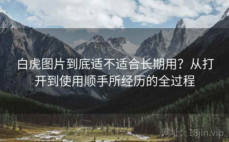白虎图片到底适不适合长期用?从打开到使用顺手所经历的全过程 白虎图片到底适不适合长期用?从打开到使用顺手所经历的全过程