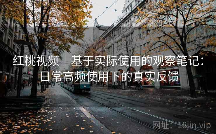 红桃视频|基于实际使用的观察笔记:日常高频使用下的真实反馈 红桃视频|基于实际使用的观察笔记:日常高频使用下的真实反馈