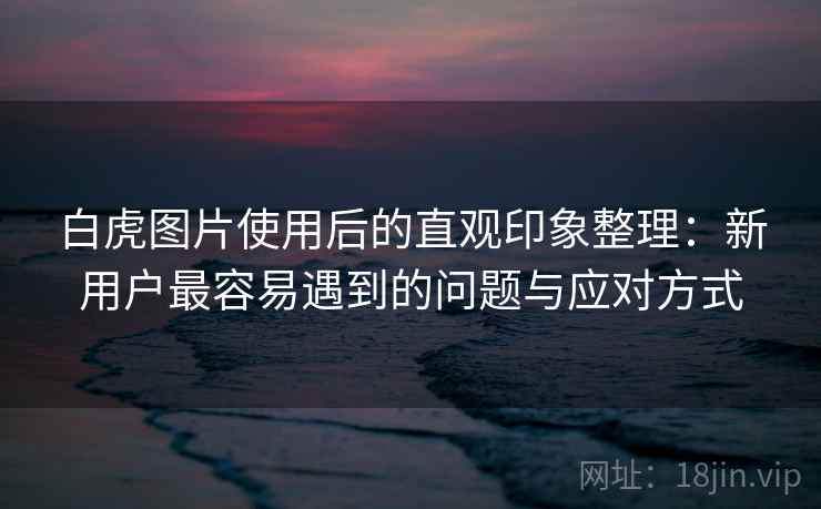 白虎图片使用后的直观印象整理：新用户最容易遇到的问题与应对方式