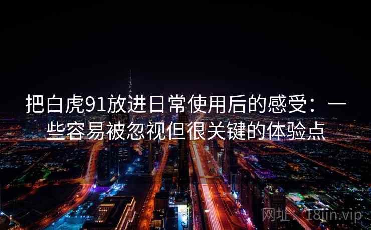 把白虎91放进日常使用后的感受：一些容易被忽视但很关键的体验点