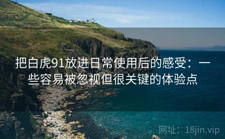把白虎91放进日常使用后的感受：一些容易被忽视但很关键的体验点